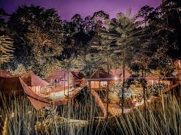 Glamping is a portmanteau of 'glamorous' and 'camping', and tiarasa escapes know what they are doing when they first built this campers' haven. Janda Baik Adventure At Tiarasa Escapes Glamping Resort