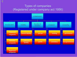 chart showing different types of companies