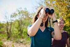 Nature in Your Neighborhood: All About Birds - Danvers