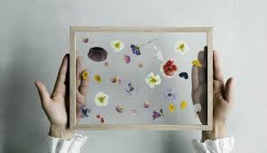 When the flowers are dried and pressed decide what ones you would like to display in your glass frame. Diy Pressed Flowers No Fuss Art Frames From Copenhagen Gardenista