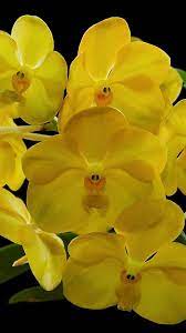Pin On God S Beauty