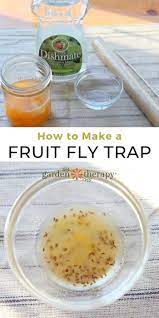 How To Get Rid Of Fruit Flies Fast With A Simple Diy Fruit Fly Trap In 2021 Diy Fruit Fly Trap Fruit Fly Trap Fruit Fly Trap Diy