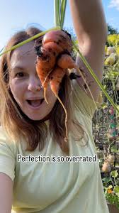 Pulling up the carrots and I’ve never seen anything so crazy and beautiful.  Obviously wouldn’t be sold in a shop, obviously will try and grow  straighter carrots next year BUT…. They’re just so unique ...