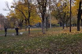 Politeka - News update