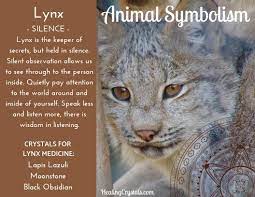 Animal Medicine Lynx By Lizzy Baxter Current Updates Information About Crystals As A Healing Tool Spirit Animal Meaning Animal Totems Animal Symbolism