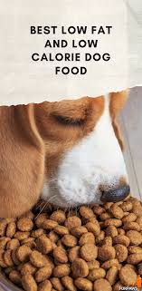 In general, dogs need fat, and lots of the dog foods. Pin On Dog