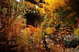 Jardinerie Taffin l'entrée dans les couleurs d'automne - Photo de ...