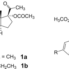 Image result for Pregnane Progestin