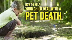 3 Ways To Help Your Child Cope After A Pet Dies - Youtube