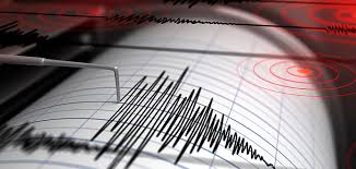 Terremoto ✓ te explicamos qué son los terremotos y qué tipos de terremotos existen. Tipos De Terremotos Y Sismos Blog Construye Bien Maestro Maestro Soluciones