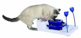 The puzzles can be as simple as putting dry food in a closed and empty yogurt container and cutting a hole in the side, so that the cat. Wet Food Puzzles For Cats The Conscious Cat