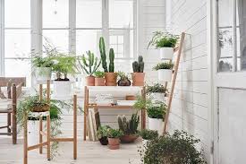 Descubre qué plantas de interior son resistentes, cómo cuidarlas, macetas, jarrones. Ideas Para Decorar Con Plantas Galeria Decoracion Plantas Decoracion Verde Plantas De Interior
