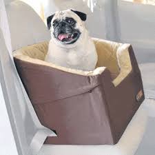 Dog beds provide a layer of insulation for your dog and keep your dog from having to sleep on the cold floor. 10 Best Dog Beds In 2021 Top Rated Beds For Small And Large Dogs
