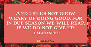 Check spelling or type a new query. 20 Bible Verses About Patience Waiting On God Scripture Quotes