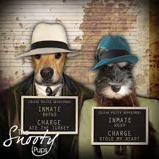 Dog Portrait Custom Dog Portrait Custom Cat Portrait Etsy In 2021 Custom Dog Portraits Custom Cat Portrait Dog Portraits