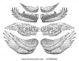 Bird With Wings Spread Drawing Bird Wings Stock Photos Images Pictures Wings Drawing Protection Tattoo Drawings