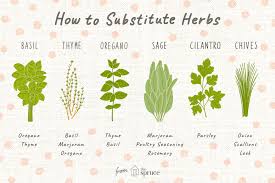 out of an ingredient use these herb substitutions