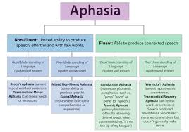 Aphasia Chart Types Www Bedowntowndaytona Com