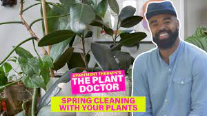 The Plant Doctor Apartment Therapy Plants Doctor Take Care Of Yourself