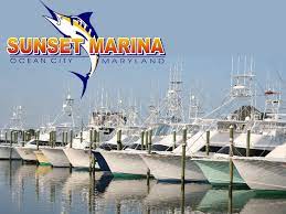 We did not find results for: Sunset Marina Ocean City Md Ocbound Com