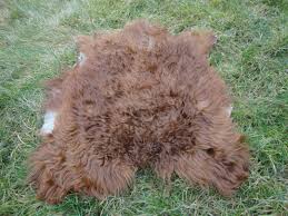Brown Goatskin Rug Shiny Soft Hair Skin Hide Mohair Angora Goatskin Animal Leather Carpet 3 4 X 2 6 Ft Genuine Soft Shiny Hair Skin Rugs Animal Skin Rug