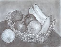 Fruit Basket Pencil Drawing Fruit Sketch Basket Drawing Vegetable Drawing