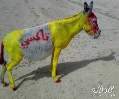 أضف الفلاتر أو الملصقات أو النصوص أو حتّى صور أخرى إلى صورك. ØµÙˆØ± Ù…Ø¶Ø­ÙƒÙ‡ 2021 ØµÙˆØ± Ù…Ø¶Ø­ÙƒÙ‡ Ø¬Ø¯ÙŠØ¯Ù‡ ØµÙˆØ± ÙƒØ§Ø±ÙŠÙƒØªÙŠØ± 2021 Ø¯Ù…Ø¹Ø©Ø§Ø­Ø³Ø§Ø³