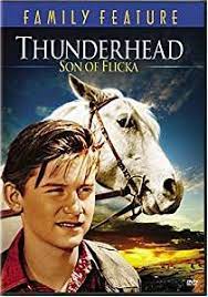 Pin On Horses