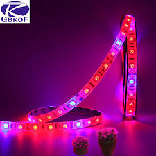 5m Led Phyto Lamps Full Spectrum Led Strip Light 300 Leds 5050 Chip Led Fitolampy Grow Lights For Greenhou Grow Lights For Plants Plant Lighting Strip Lighting
