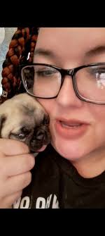 What dry puppy food to mix with wet food?