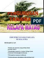 2) latarbelakang perniagaan / syarikat. Pengurusan Kelapa Matag
