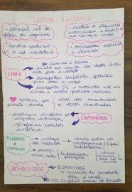 mapa mental sistema linfatico sistema linfatico linfatico livros de enfermagem
