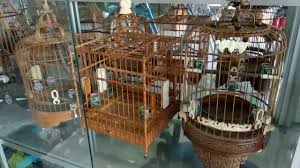 Sangkar burung shop menjual sangkar ukir kacer dengan motif sesuai permintaan artinya bentuk, ukuran, motif serta warna finishing anda bisa tentukan sendiri, produk unggulan kami adalah sangkar. Sangkar Dari Negeri China Ini Berharga Jutaan Youtube