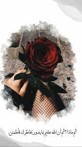 𓆲 𓆩niona𓆪 girly photography cover photo quotes iphone wallpaper quotes love