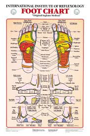 Foot Reflexology Chart Massage Foot Reflexology