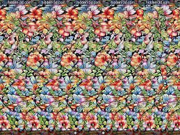 Old school NSFW : rMagicEye