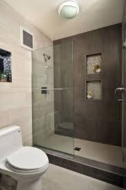 Contrasting Tile Shower Niche Pair Modern Bathroom Design Stylish Bathroom Bathroom Remodel Designs