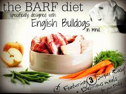 the best english bulldog specific barf diet guide online