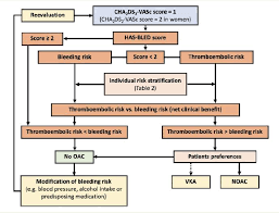 Why is the chadsvasc score important? Oral Anticoagulation In Patients With Non Valvular Atrial Fibrillation And A Cha2ds2 Vasc Score Of 1 How To Solve This Problem