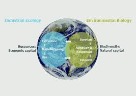Environmental monitoring is a vital role in determining health and safety issues for the purpose of public health or environmental. Institute Of Environmental Sciences Cml Leiden University