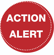 Image result for advocacy action image