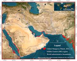 Image result for Red Marina 1993 UMM