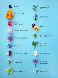 Edible flowers are more than just a garnish or a gimmick. Easily Identify Edible Flowers With The Help Of This Graphic Edible Flowers Edible Flowers Recipes Flower Food