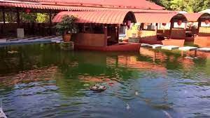 Fish village seafood restaurant (渔村海鲜楼). å±±æ°´é±¼åº„é¤åŽ…dzh Fish Village Restaurant Photos Bentong Menu Prices Restaurant Reviews Facebook