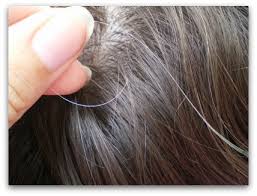 Smokers are more likely to develop grey. True Life I Found A Gray Hair Awesomely Luvvie