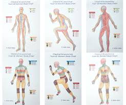 Classical Acupuncture Yuan Qi Body Charts Single Series