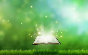 Download and use 70,000+ green wallpaper stock photos for free. Christian Book Digital Background Wallpaper Of Holy Book