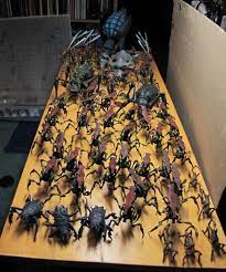 Check spelling or type a new query. Arachnids Bugs Plasma Roughnecks Spider Starship Troopers The Arachnid Army Gallery Starship Troopers Bugs Starship Troopers Starship
