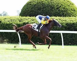 Model kitchen set minimalis tahun 2021 dengan model kitchen island banyak digemari karena sempurna dari segi tampilan serta fungsional. Preakness 2021 Entries Contenders Odds And Lineup Analysis Bleacher Report Latest News Videos And Highlights
