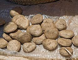 Image result for Telfairia pedata